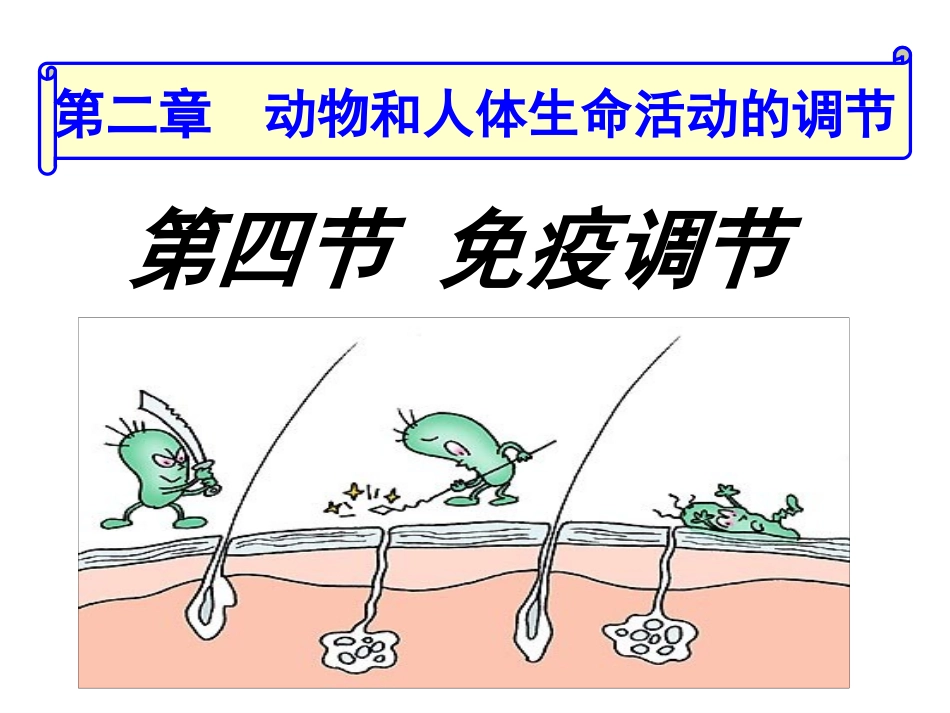 -免疫调节(届上课用）_第3页