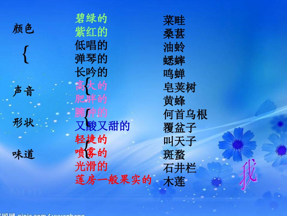 从百草园到三味书屋（百草园精讲）_第3页