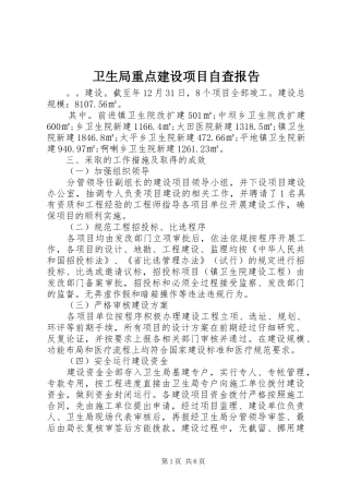 卫生局重点建设项目自查报告