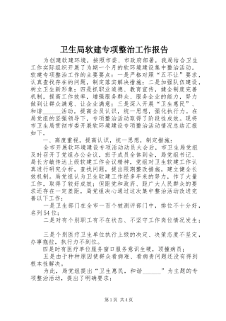 卫生局软建专项整治工作报告