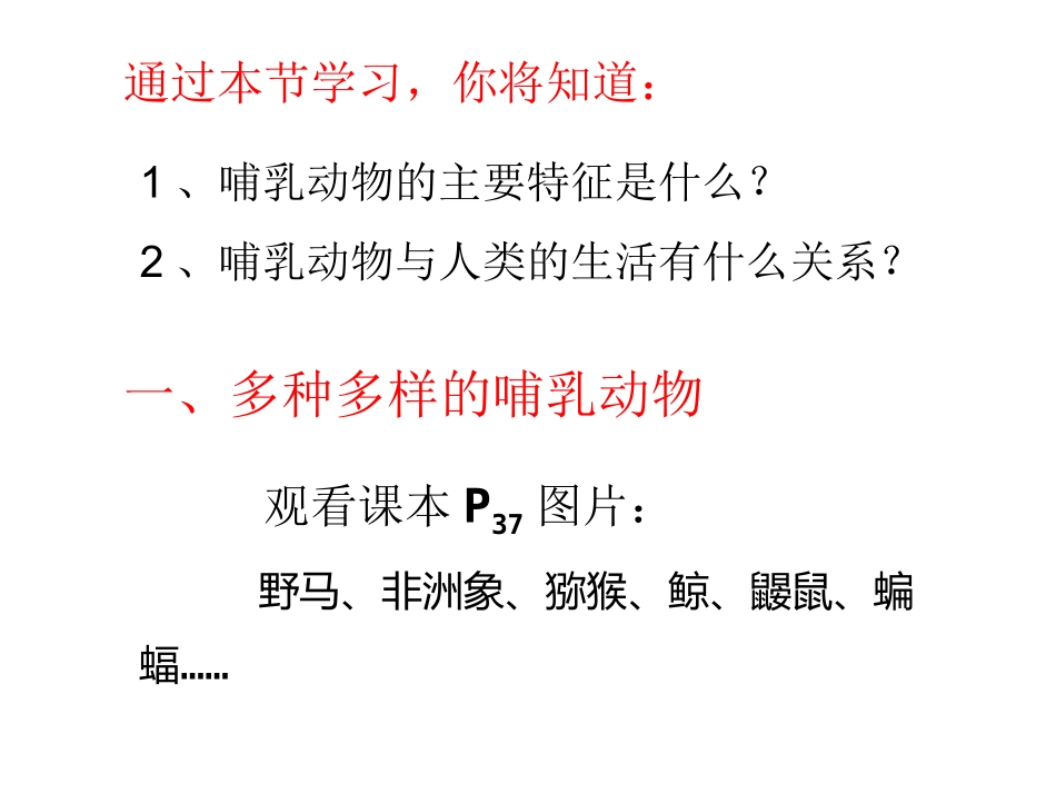 八年级生物上册第七课哺乳动物_第2页