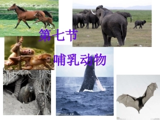 八年级生物上册第七课哺乳动物