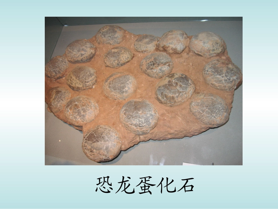 博物馆 (2)_第3页