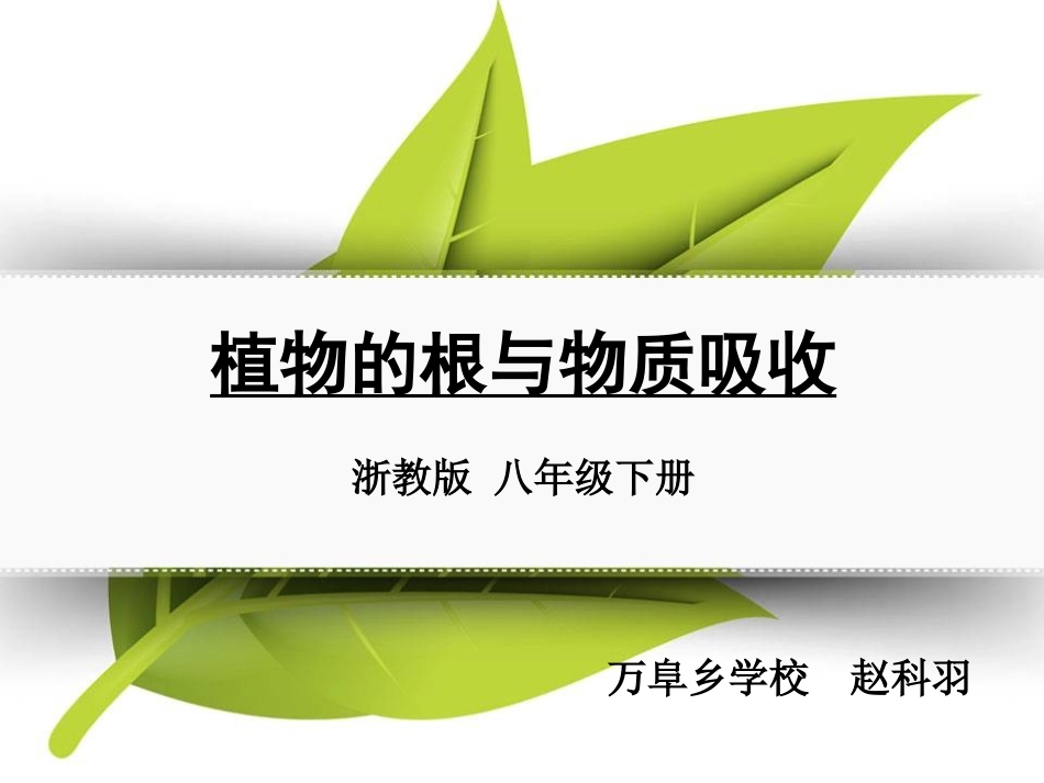 第1课时植物的根系根的吸水和失水_第3页