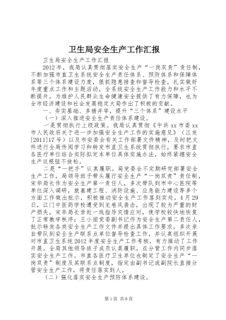 卫生局安全生产工作汇报