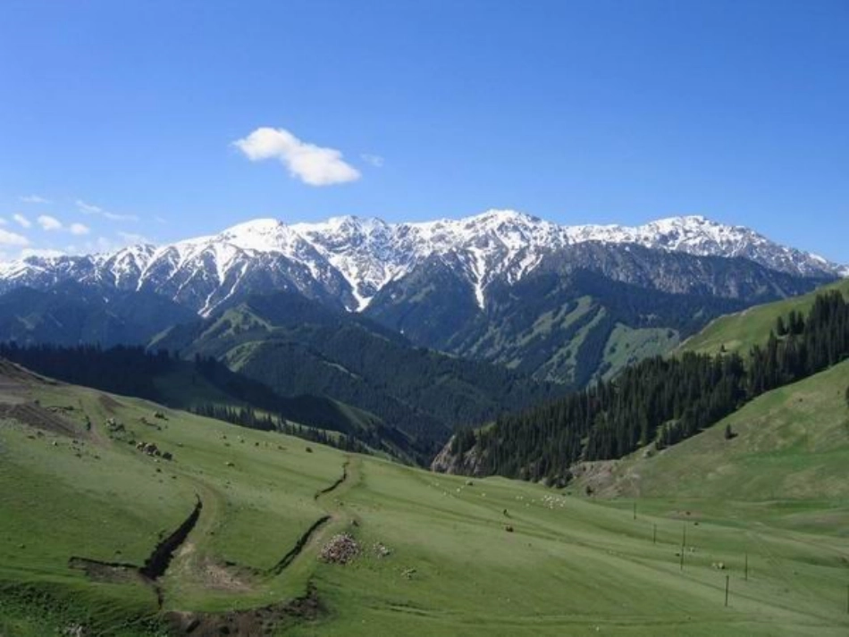 七月的天山课件_第1页