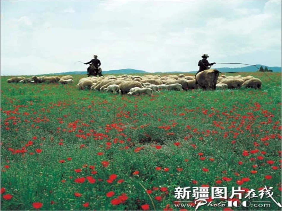 七月的天山课件_第3页