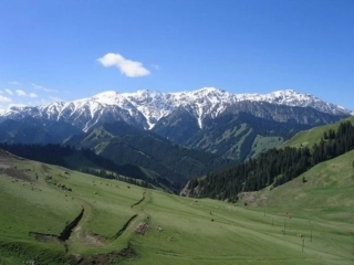 七月的天山课件