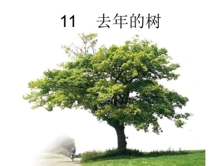 人教版小学四年级上册11课去年的树