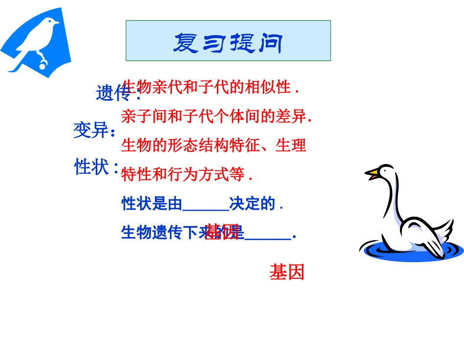 人教版八下第二章第二节基因在亲子代间的传递上课（共41张PPT）_第1页