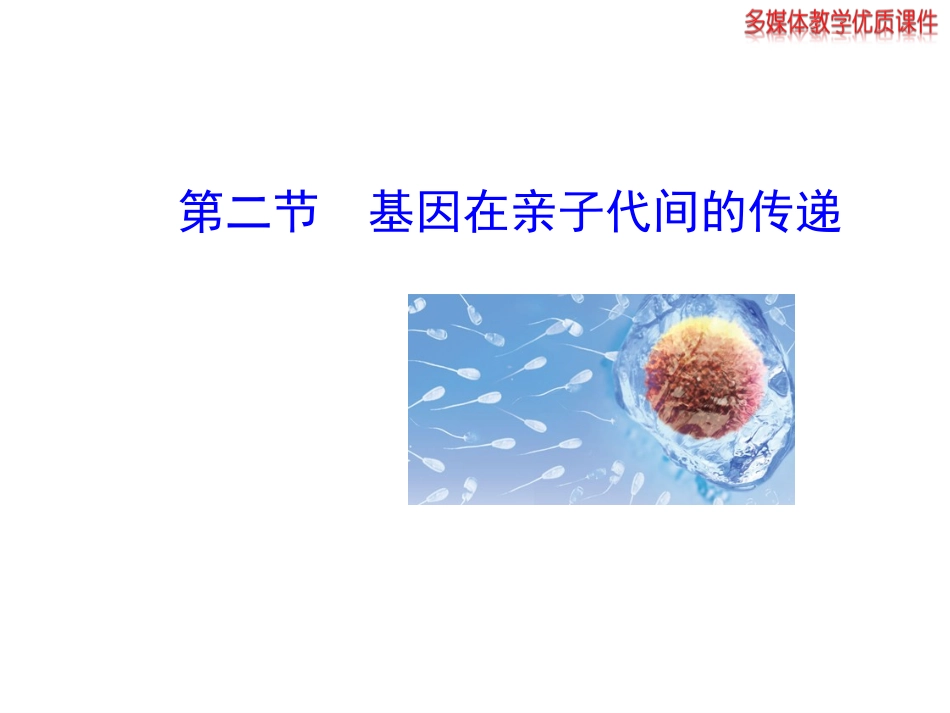 人教版八下第二章第二节基因在亲子代间的传递上课（共41张PPT）_第2页