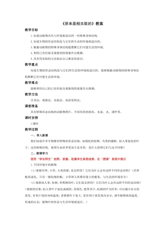 《原来是相关联的》教案1