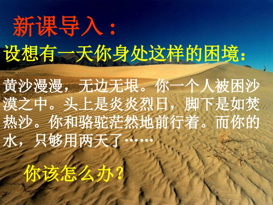 鲁宾逊漂流记课件_第2页