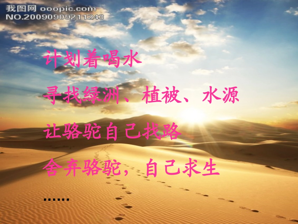 鲁宾逊漂流记课件_第3页