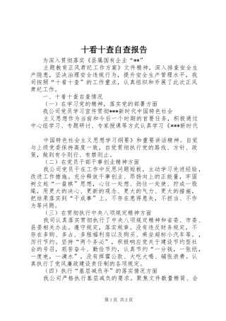 十看十查自查报告