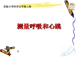 测量呼吸和心跳_b