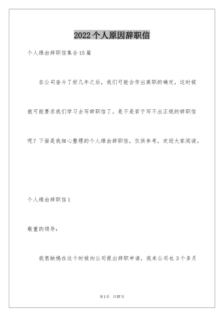 2024个人原因辞职信_113