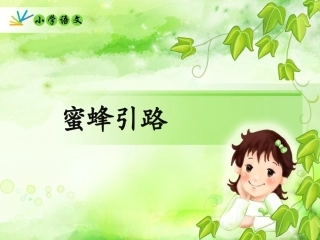 蜜蜂引路课件