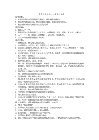 大班科学活动——磁铁的秘密