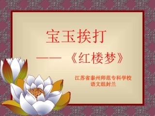 宝玉挨打课件
