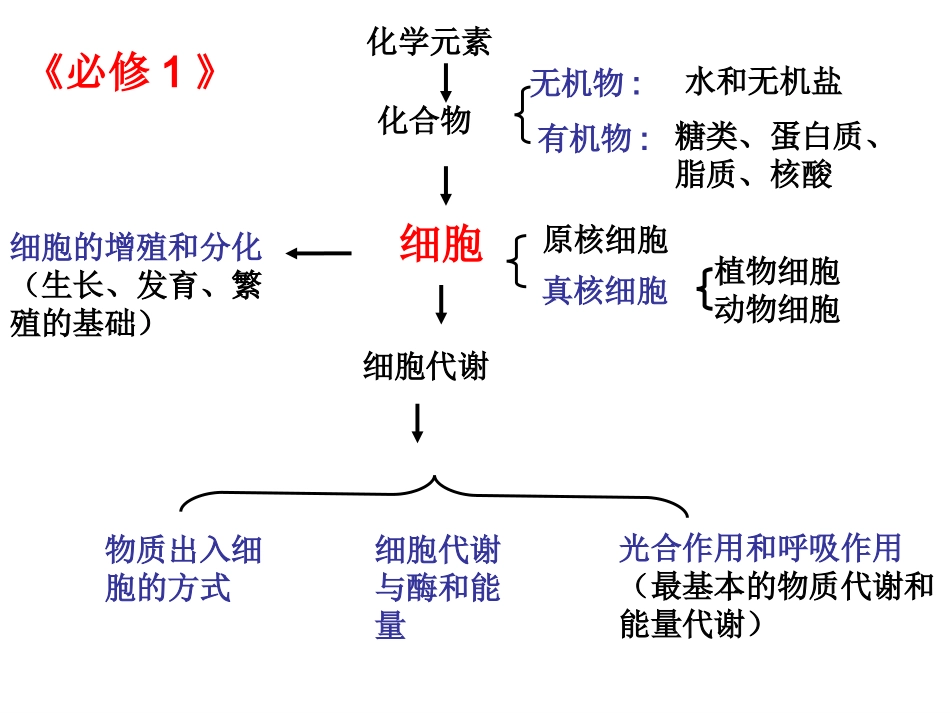 第四章细胞的增殖与分化(1)_第1页