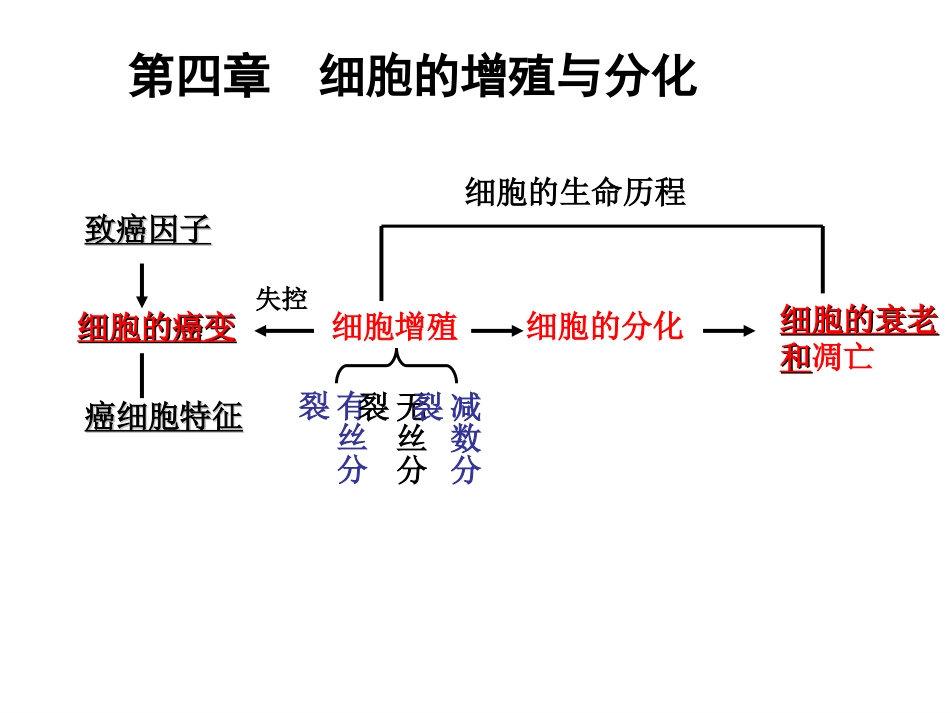 第四章细胞的增殖与分化(1)_第2页