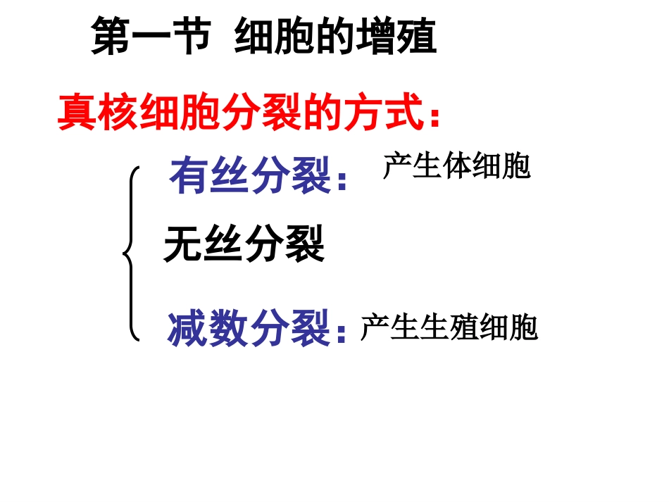 第四章细胞的增殖与分化(1)_第3页