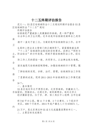 十二五终期评估报告