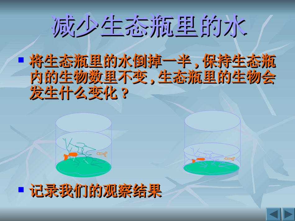 《改变生态瓶》_第3页