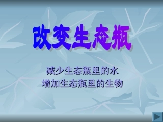 《改变生态瓶》