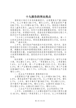 十九报告的突出亮点