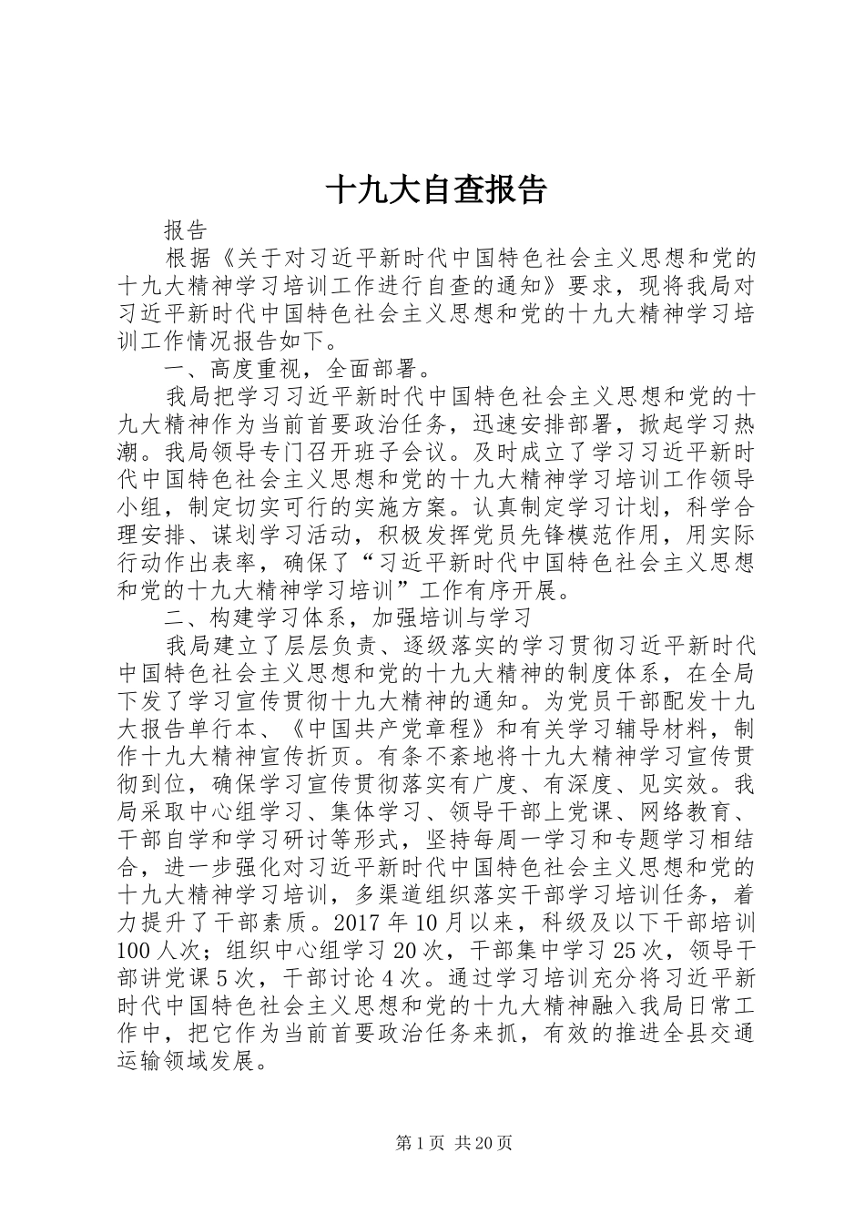 十九大自查报告_第1页