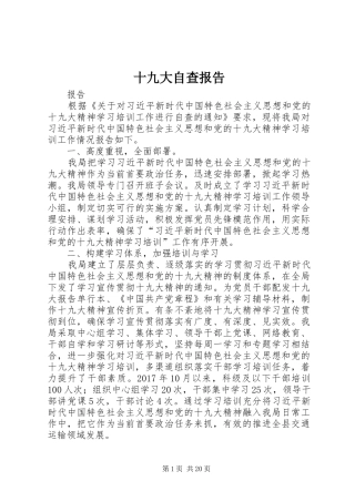 十九大自查报告