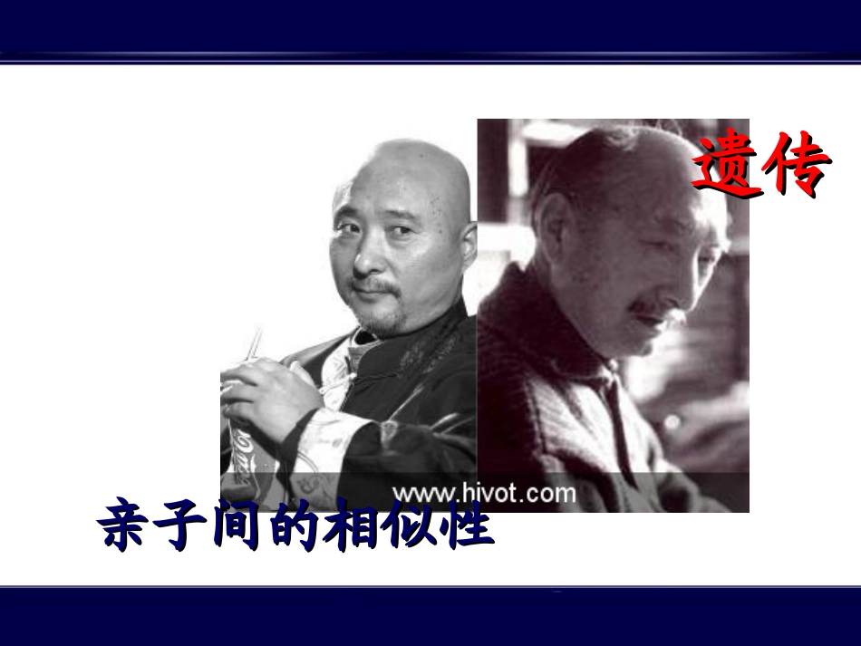 -基因控制生物的性状_第3页