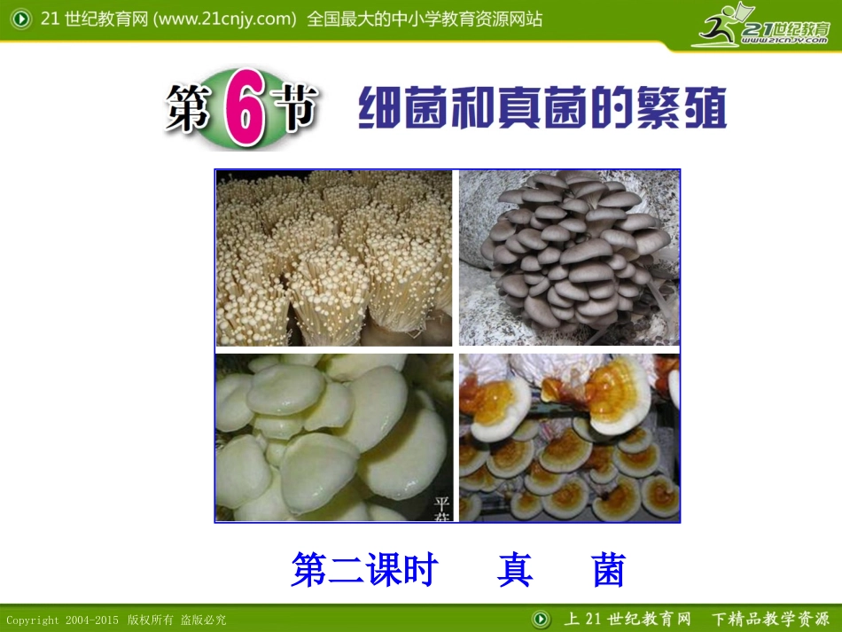 第6节细菌和真菌的繁殖（第二课时）_第1页