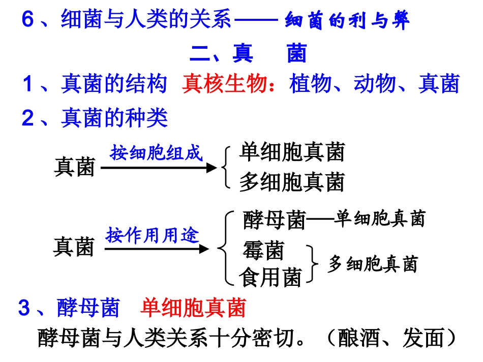 第6节细菌和真菌的繁殖（第二课时）_第3页