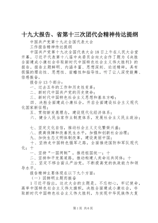 十九大报告、省第十三次团代会精神传达提纲