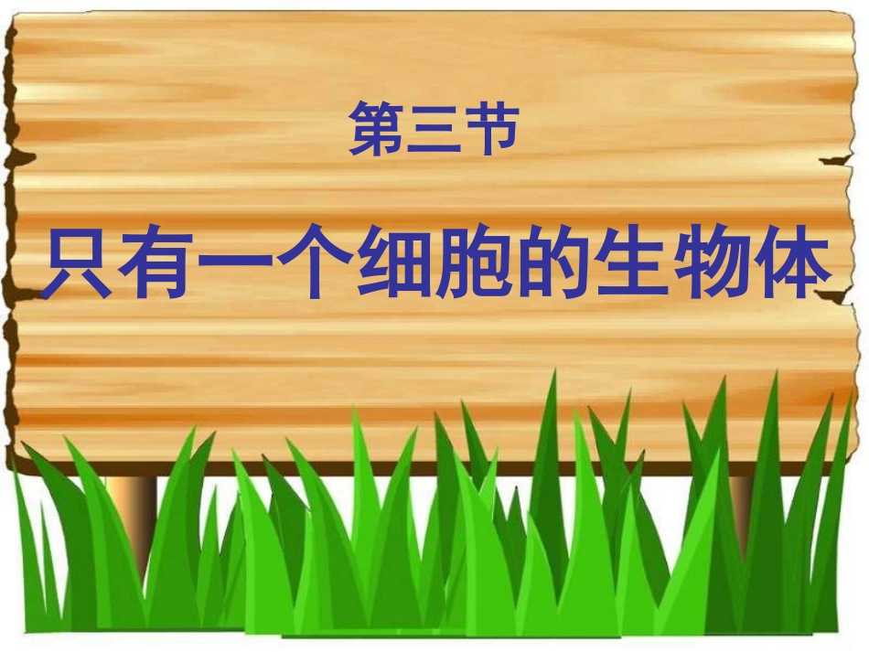 一个细胞的生物_第2页