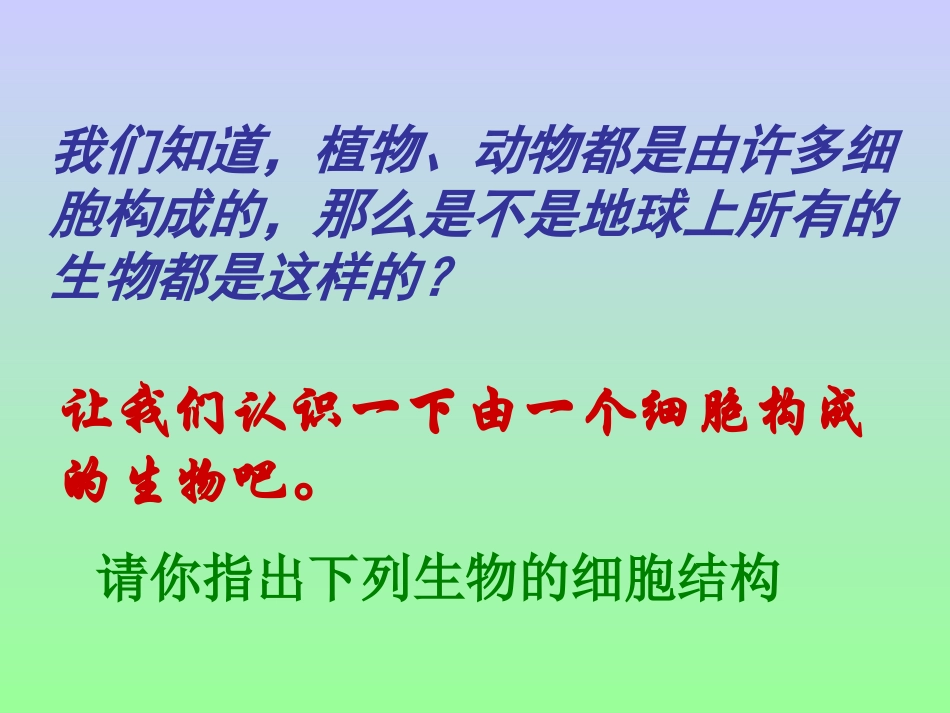 一个细胞的生物_第3页