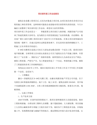 项目部年度工作总结报告 