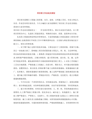 项目部工作总结及规划 