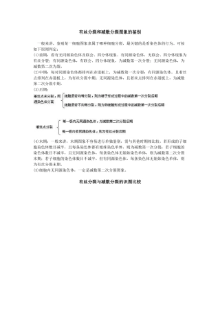 有丝分裂和减数分裂的比较