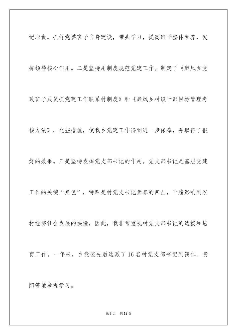 2024乡镇党委书记述职述廉_第3页