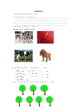 汉语拼音复习三