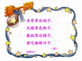 《可爱的大熊猫》