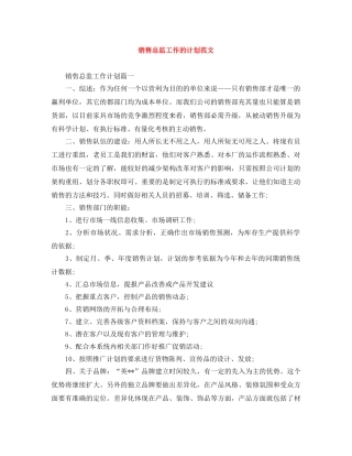 销售总监工作的计划范文 