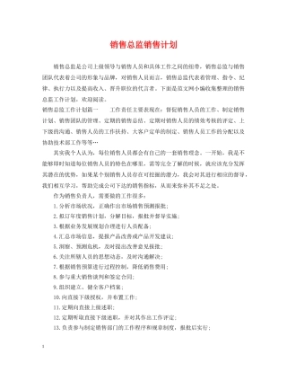 销售总监销售计划 