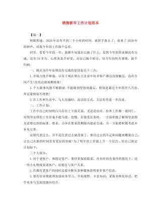 销售新年工作计划范本 