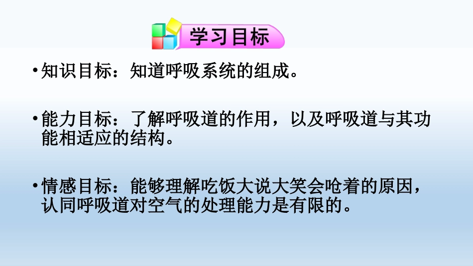 第一节呼吸道对空气的处理课件_第3页