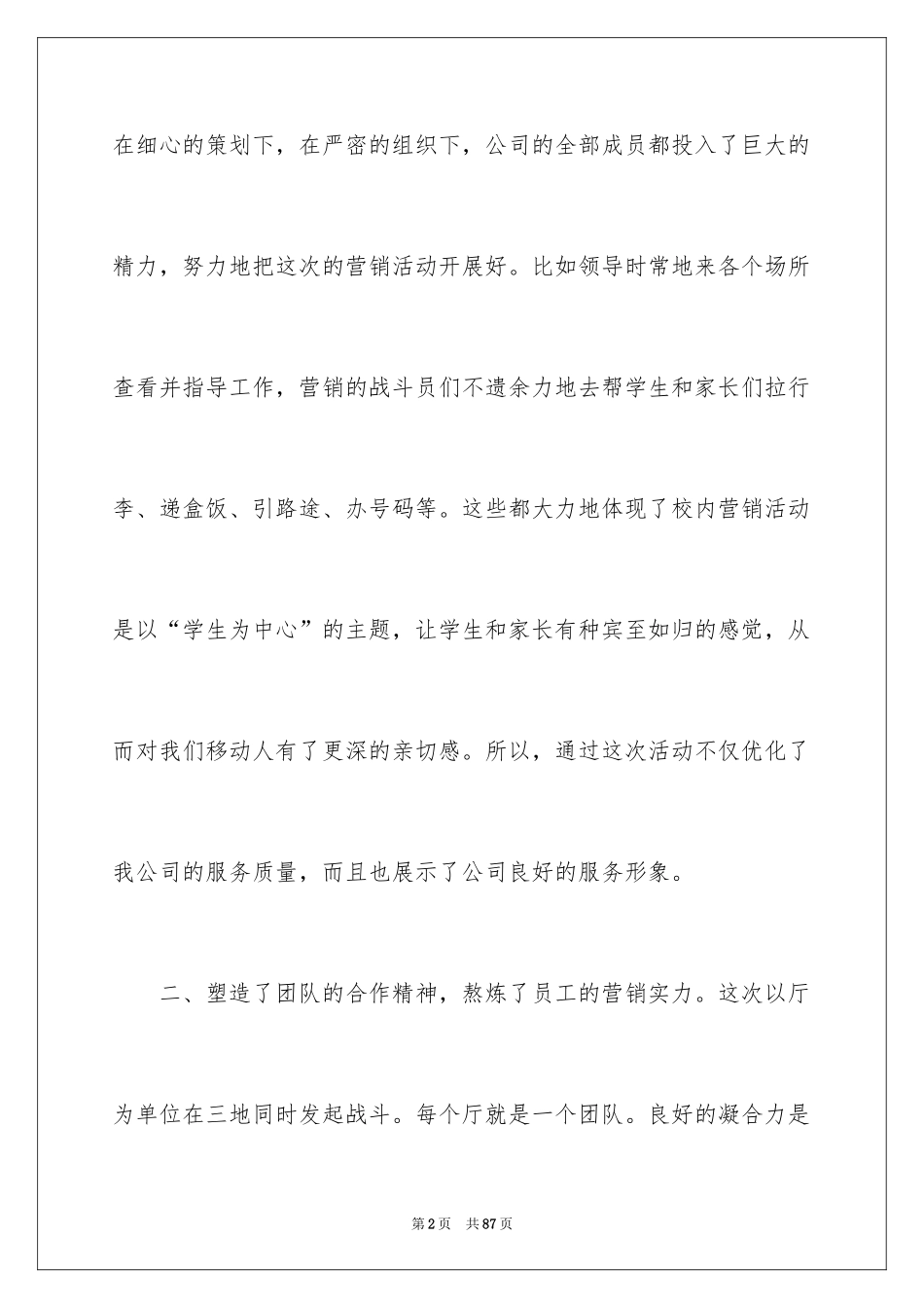 2024促销活动报告_第2页